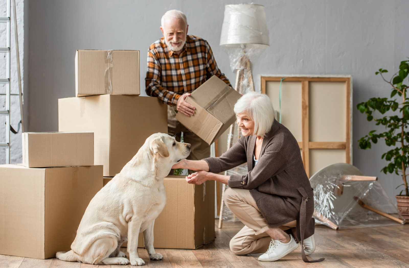 An older couple surrounded by moving boxes and wrapped furniture support their golden retriever as the environment changes