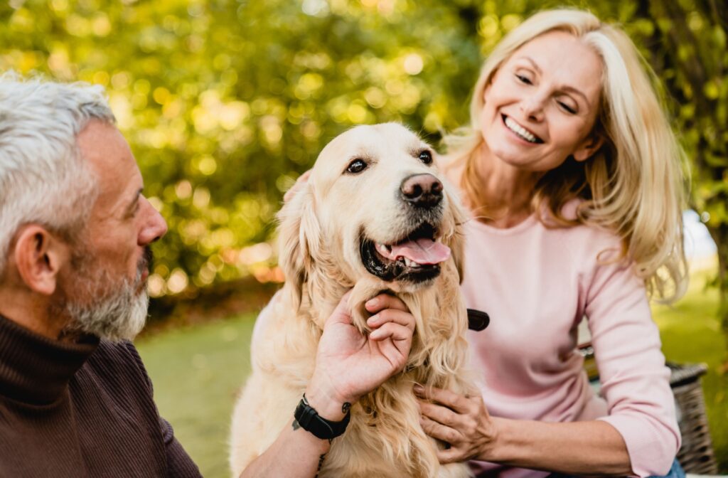 Older couple enjoying time with their service dog outdoors.